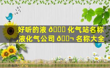 好听的液 🍀 化气站名称,液化气公司 🐬 名称大全